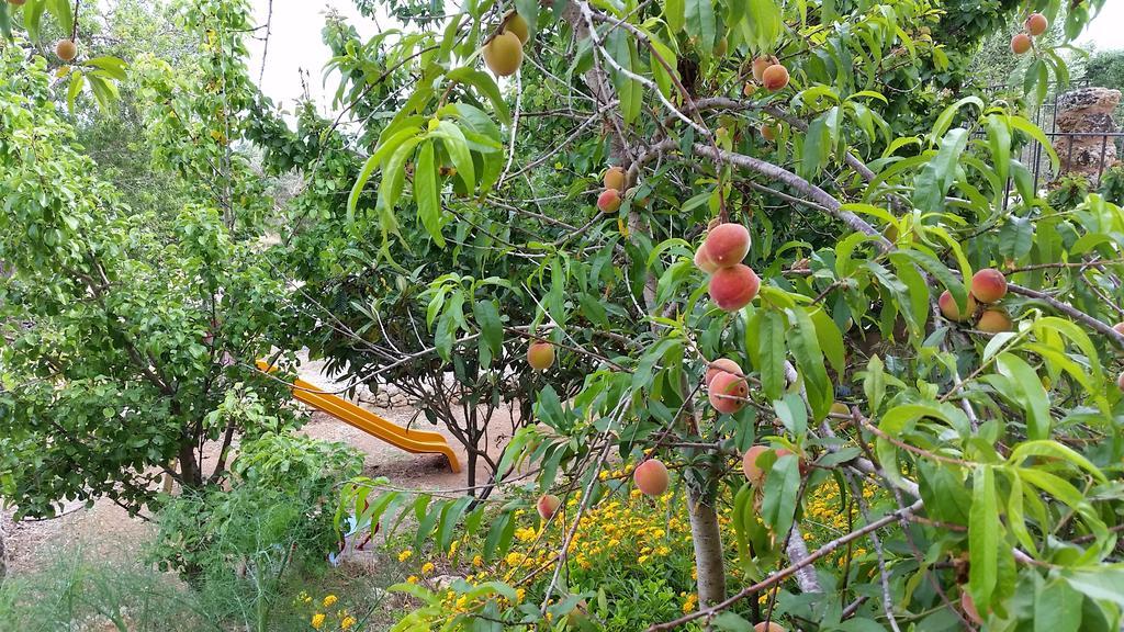 Masseria Ruri Pulcra Patù المظهر الخارجي الصورة