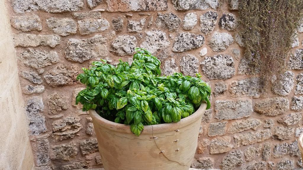 Masseria Ruri Pulcra Patù المظهر الخارجي الصورة